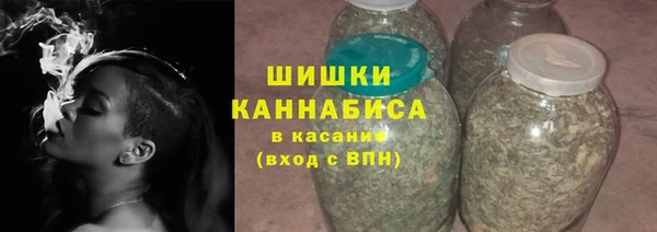 шишки Бронницы